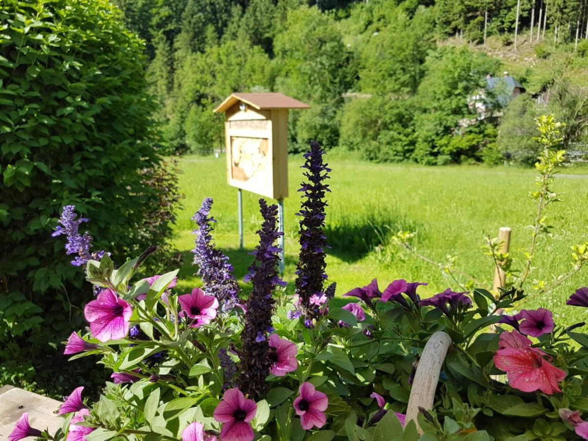 Feriendomizil Wetzelberger Apartamento Monichwald Exterior foto
